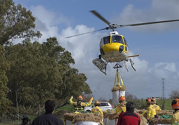 Más de cinco toneladas de paja y pienso para 480 ovejas aisladas desde hace una semana por las lluvias